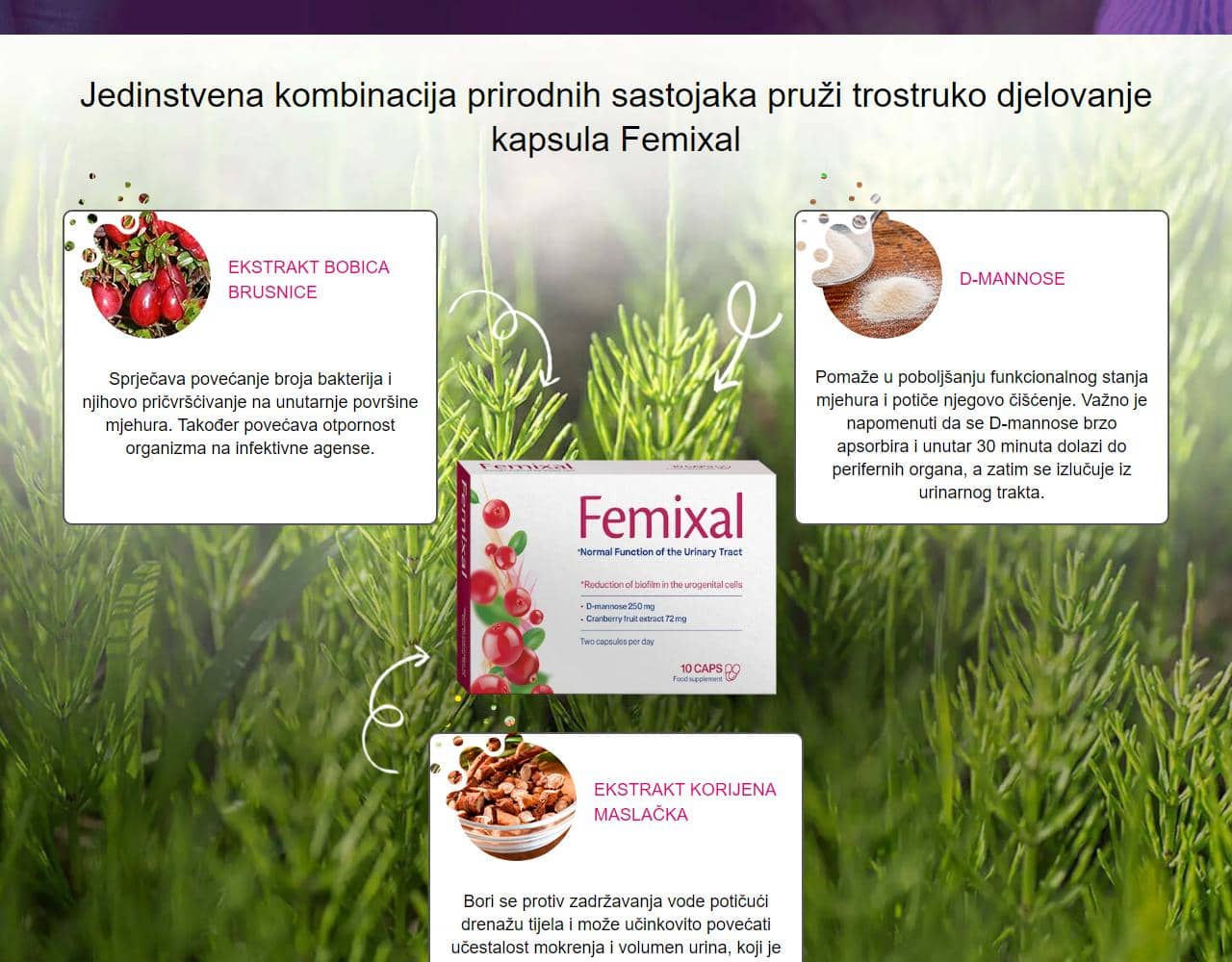 Femixal 4