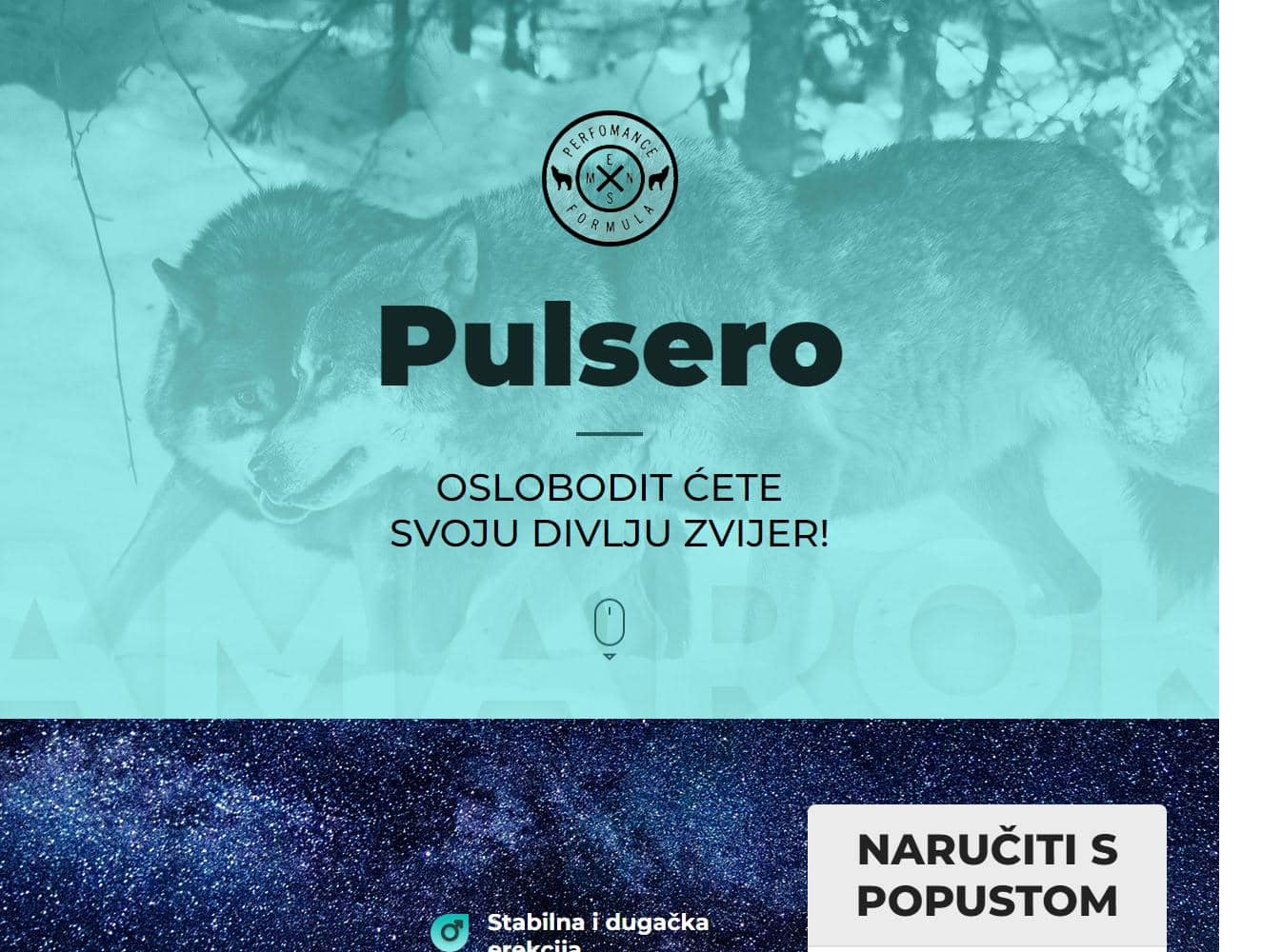 Pulsero 1